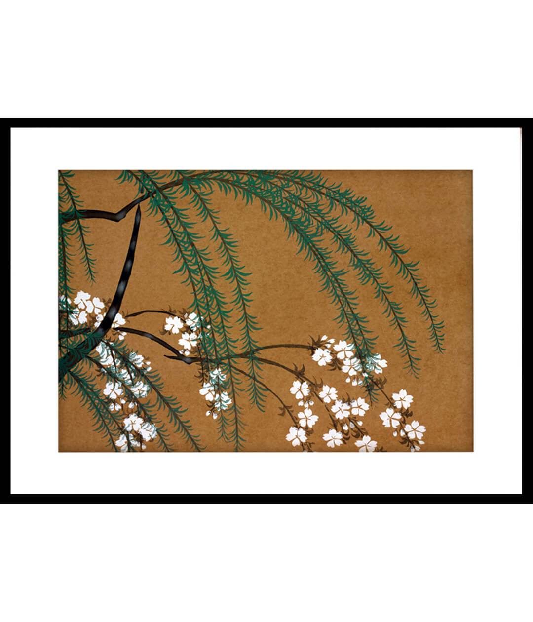 kamisaka sekka painting - Flowers of a Hundred Generations