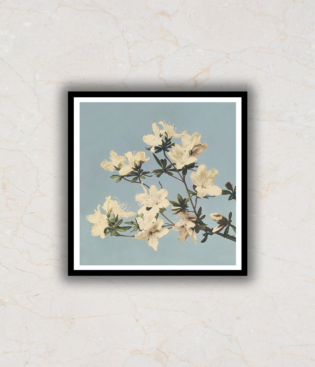"Azalea Floral Painting by Ogawa Kazumasa"