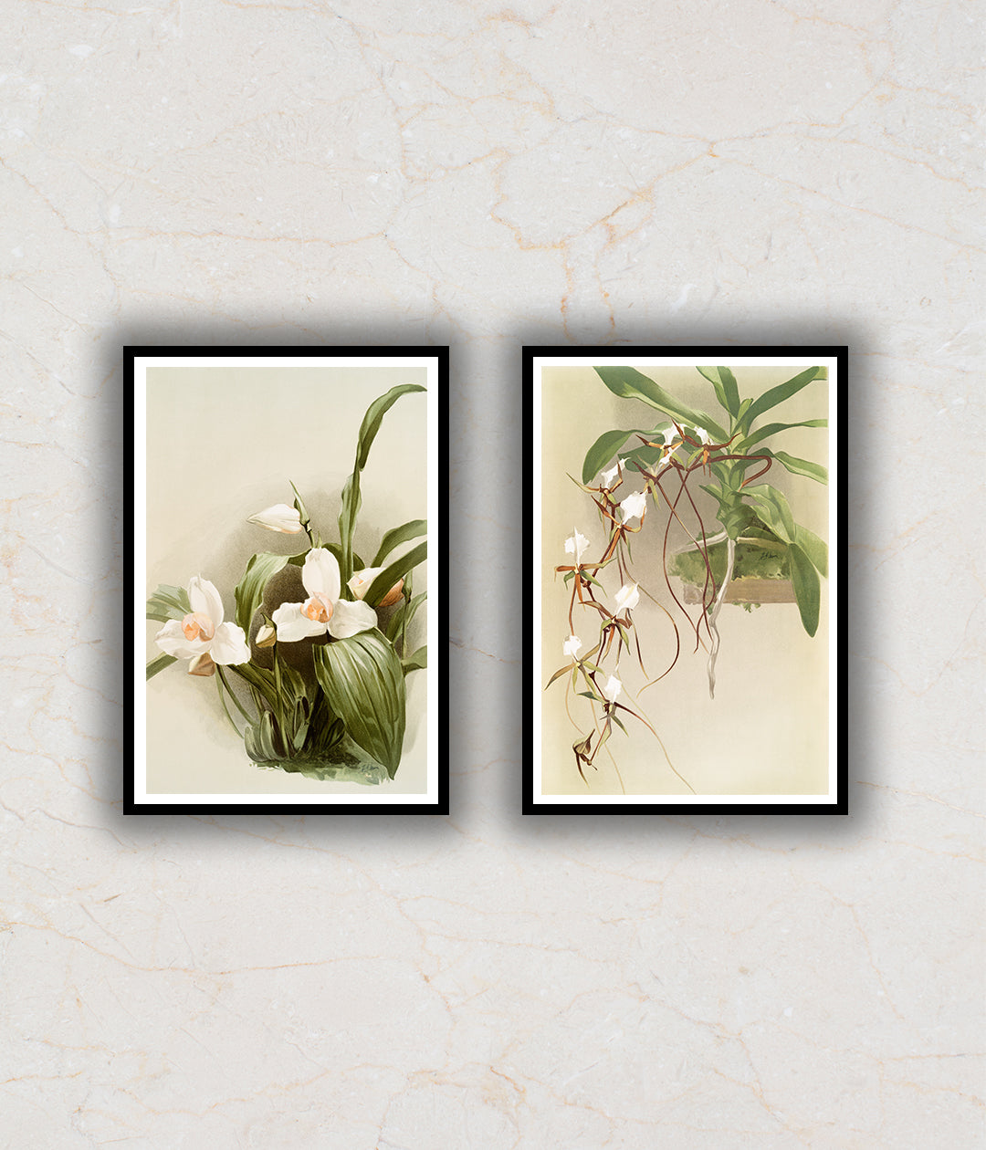"Set of 2 Floral Painting by Henry Frederick Conrad Sander"