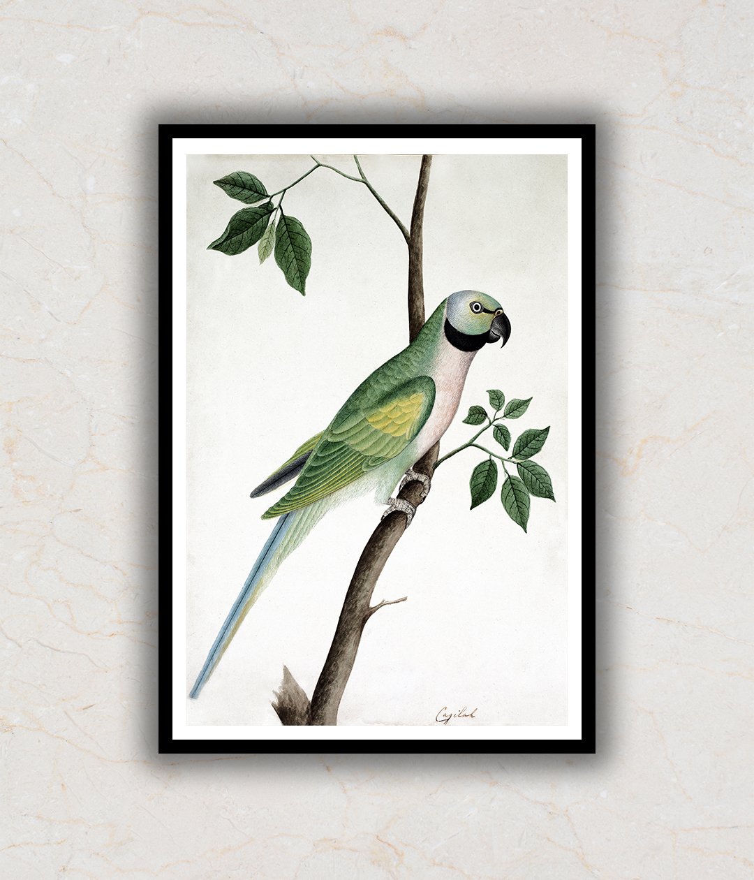 "Parrot Perched on a Twig Mughal Art Painting For Home Wall Art Decor"