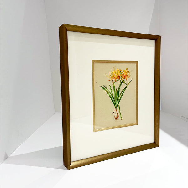 "Golden Spider Lily Metal Framed Floral Artwork Painting"