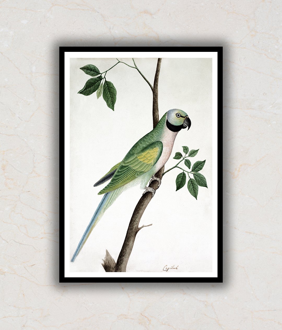 Parrot Perched on a Twig Mughal Art Painting For Home Wall Art Decor