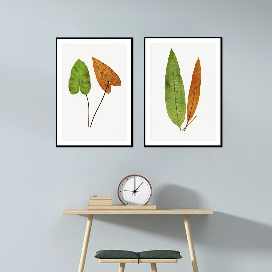 Ferns Set of 2 Floral Paintings by Edward Lowe