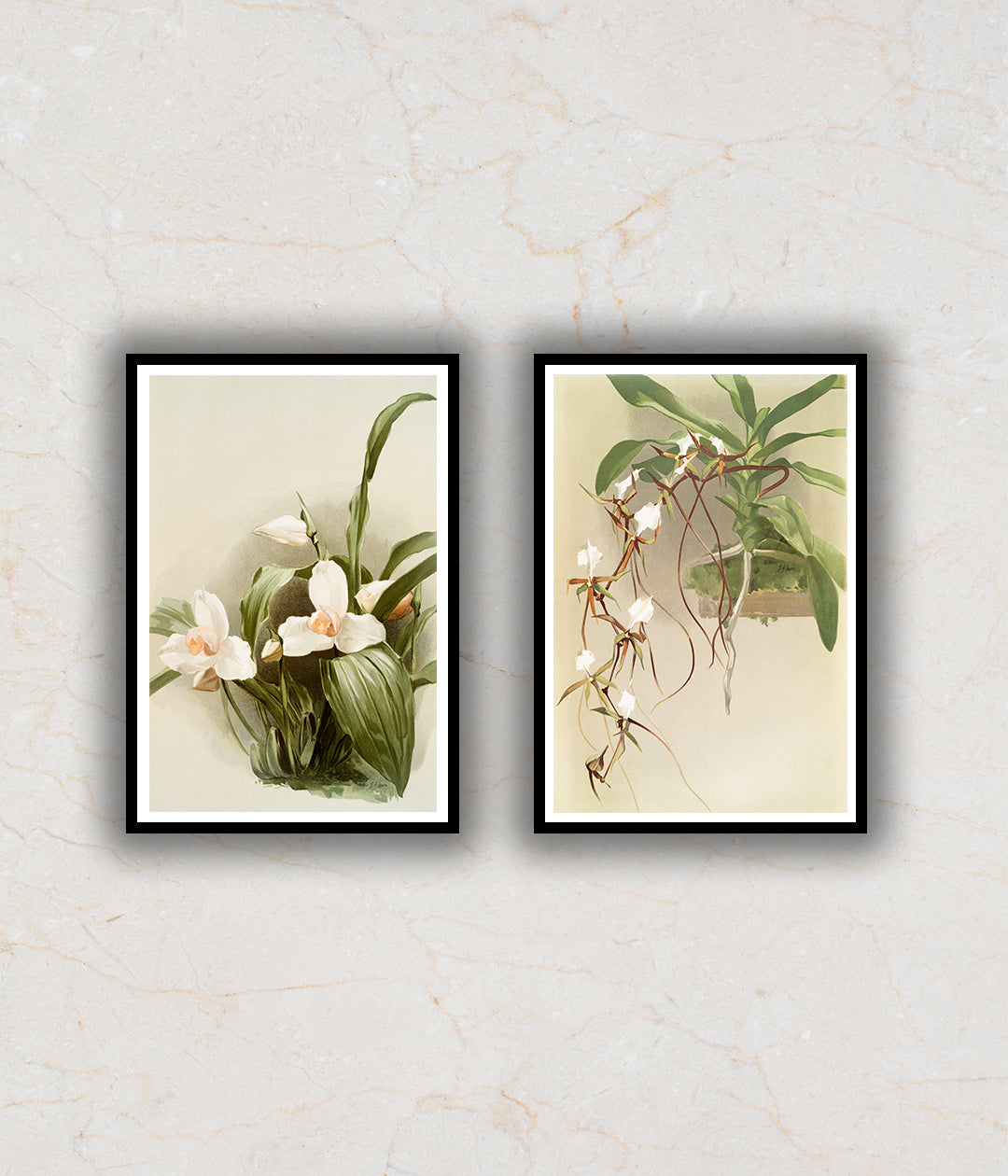 Set of 2 Floral Painting by Henry Frederick Conrad Sander