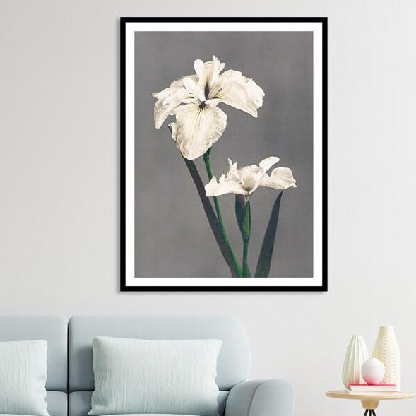 White Iris Flower Painting by Ogawa Kazumasa