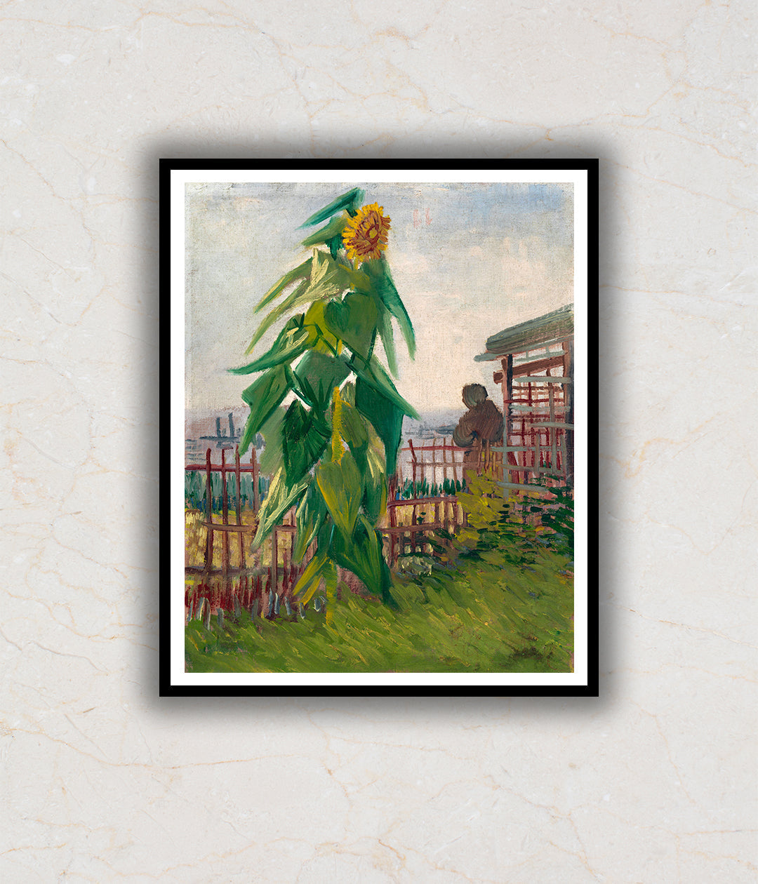 Allotment with Sunflower (1887) Artwork Painting For Home Wall Art D•À__cor By Vincent Van Gogh