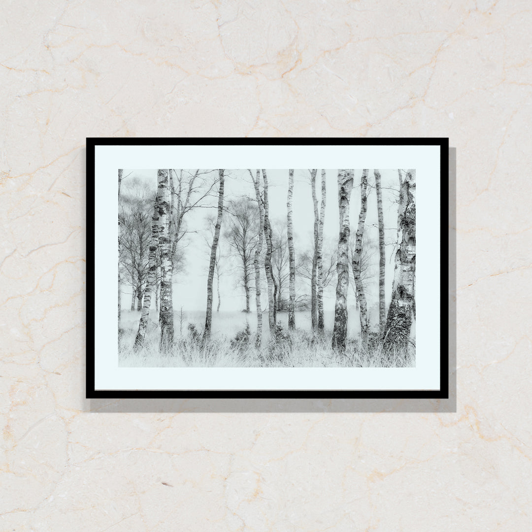 The Grey Forest Artwork Painting By Nel Telson