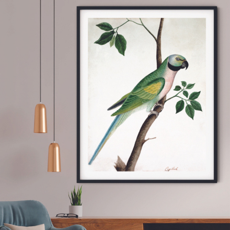 Parrot Perched on a Twig Mughal Art Painting For Home Wall Art Decor